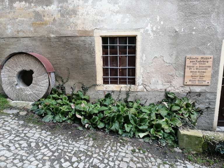Schlossmühle Radeberg – Wander- & Radrouten | Komoot