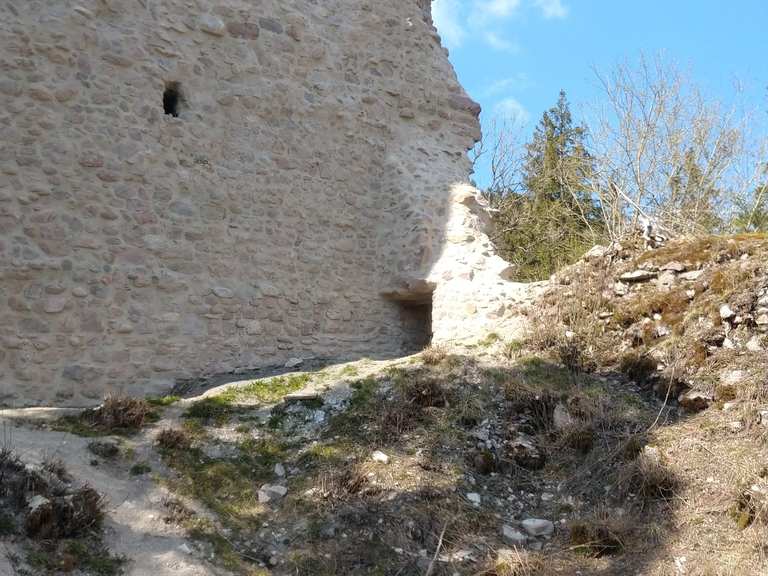 Burgruine Neu-Fürstenberg: Wanderungen und Rundwege | komoot