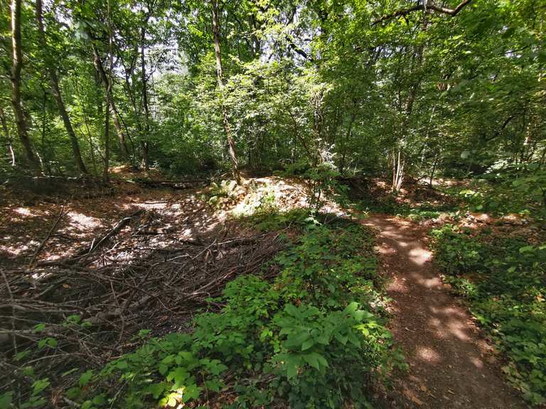 Chemin de Racine Single port royal Circuit à partir de La Verrière sortie à VTT Komoot