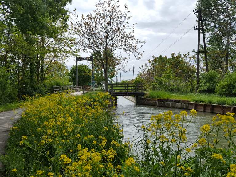 Wiener Neust  dter Kanal Sch  nau der Triesting  Baden Radtouren