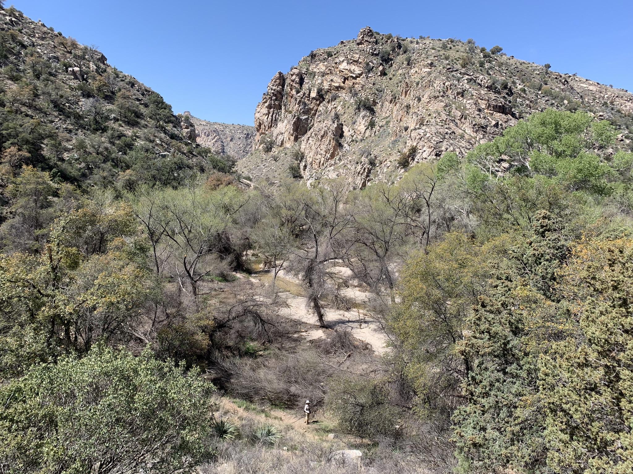 A rocky canyon with green trees and a person hiking below in bright daylight.