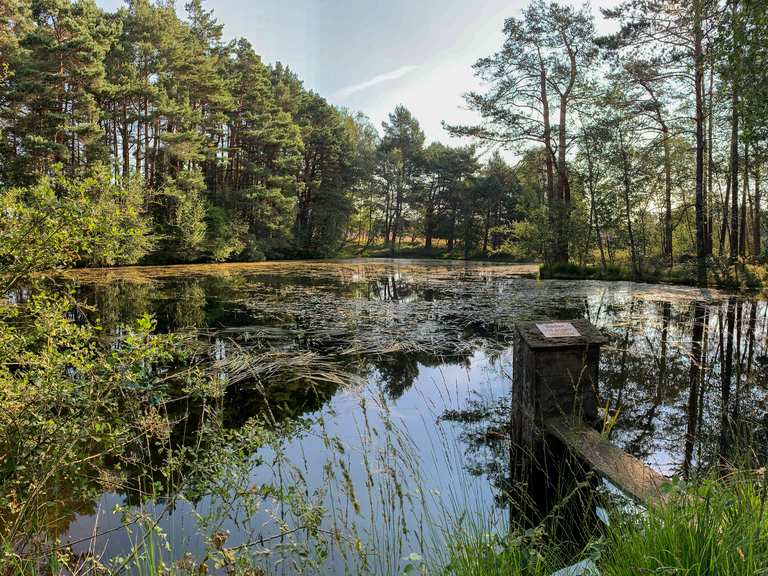 Weseler BachTeiche Wanderungen und Rundwege komoot