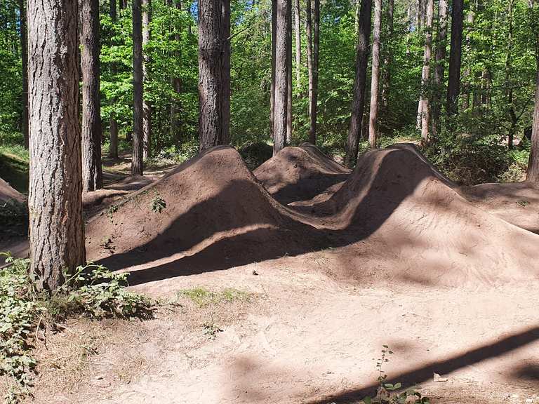 Sherwood pines dirt discount jumps