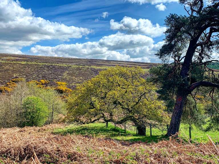 Blakey Ridge - Road Cycle Routes and Map | Komoot