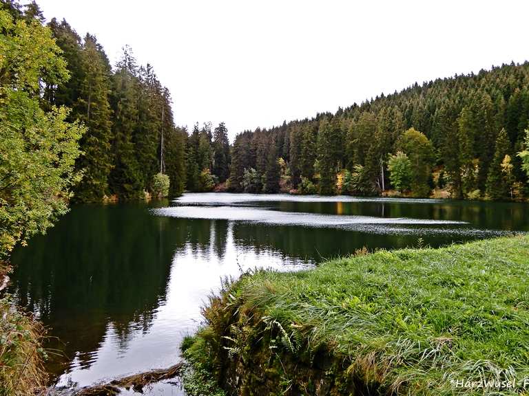 Schalker Teich Routes for Walking and Hiking Komoot