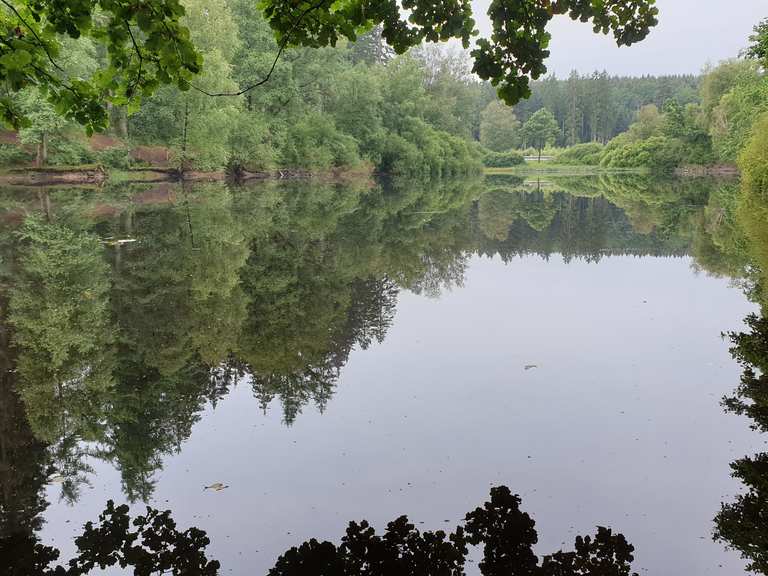 Neuer Teich Wanderungen und Rundwege komoot