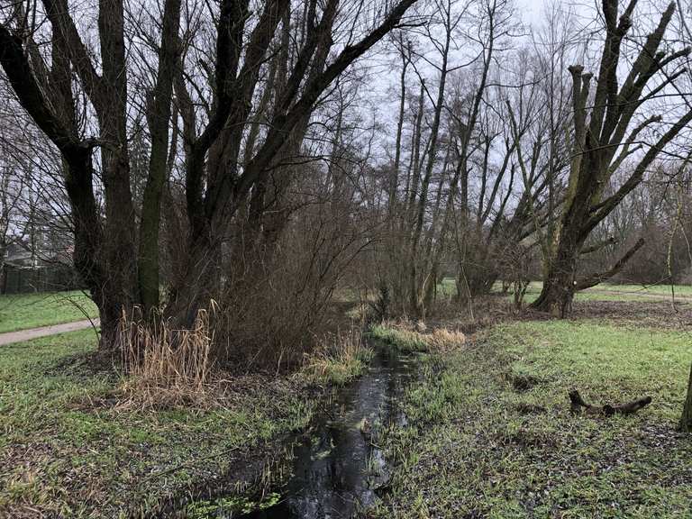 Rudower Fließ Routes for Walking and Hiking Komoot