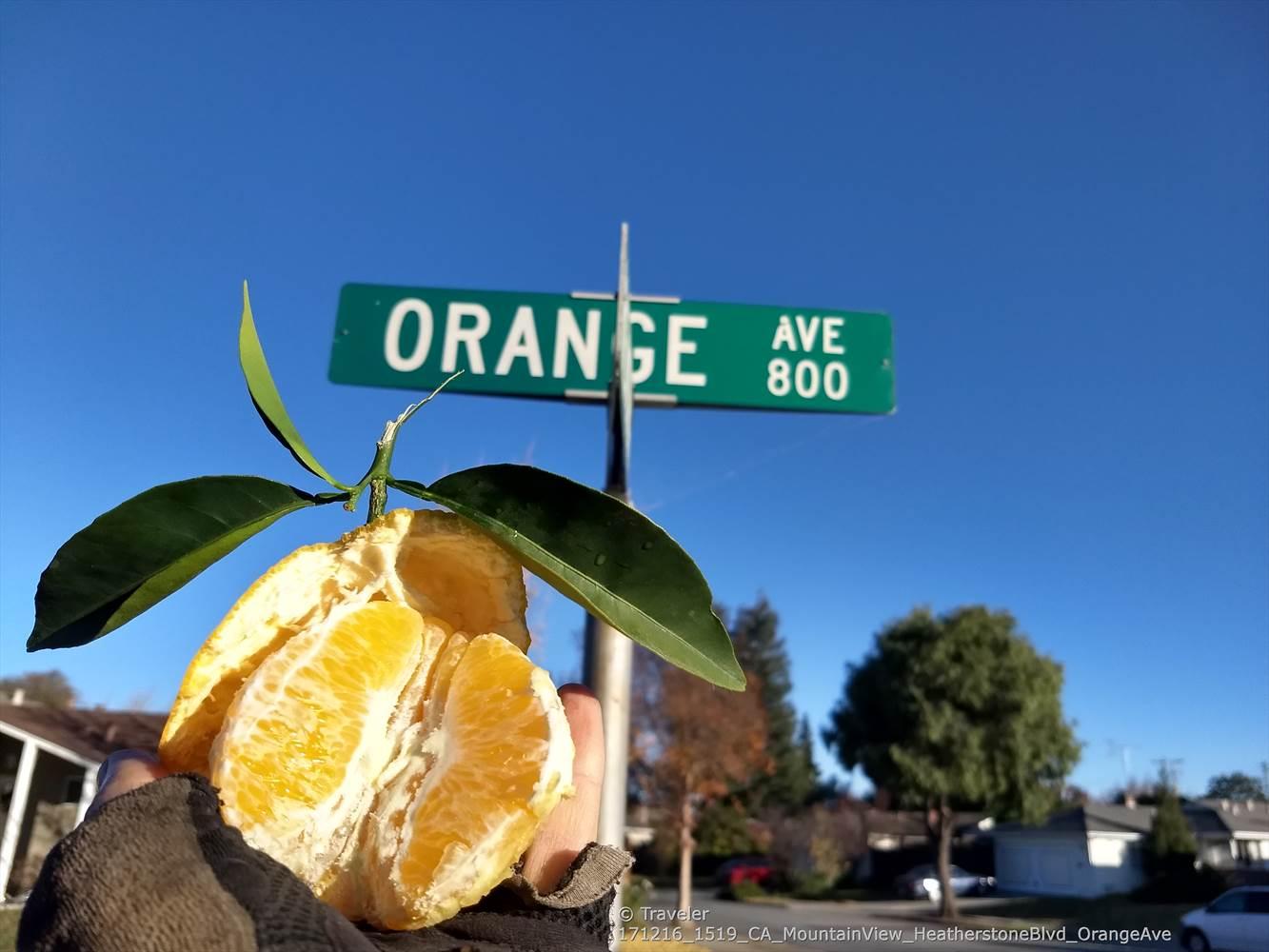 Hand holding a peeled orange with leaves, under a bright blue sky.