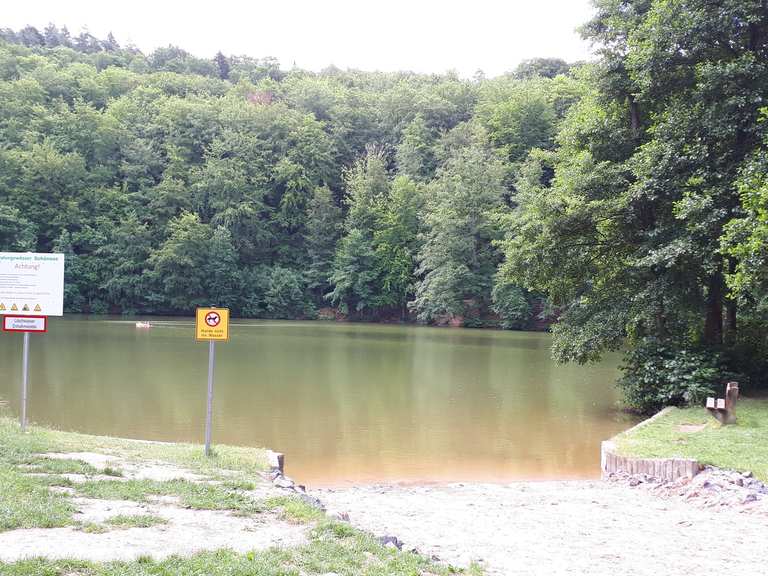 Schönsee Routes for Walking and Hiking | Komoot