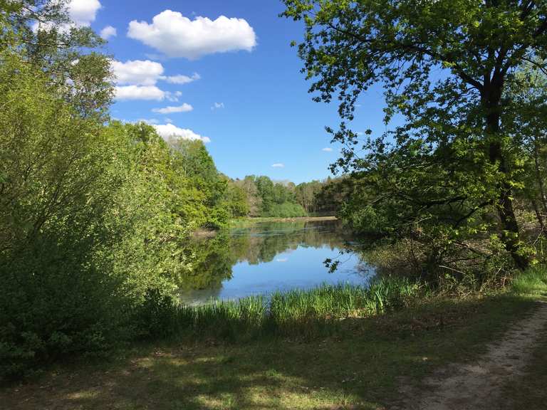 Ahlhorner Fischteiche mit Kirche Radtouren und Radwege komoot