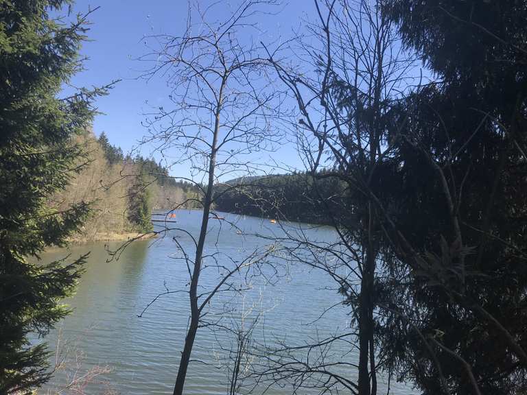 Kuttelbacher Teich Routes for Walking and Hiking Komoot