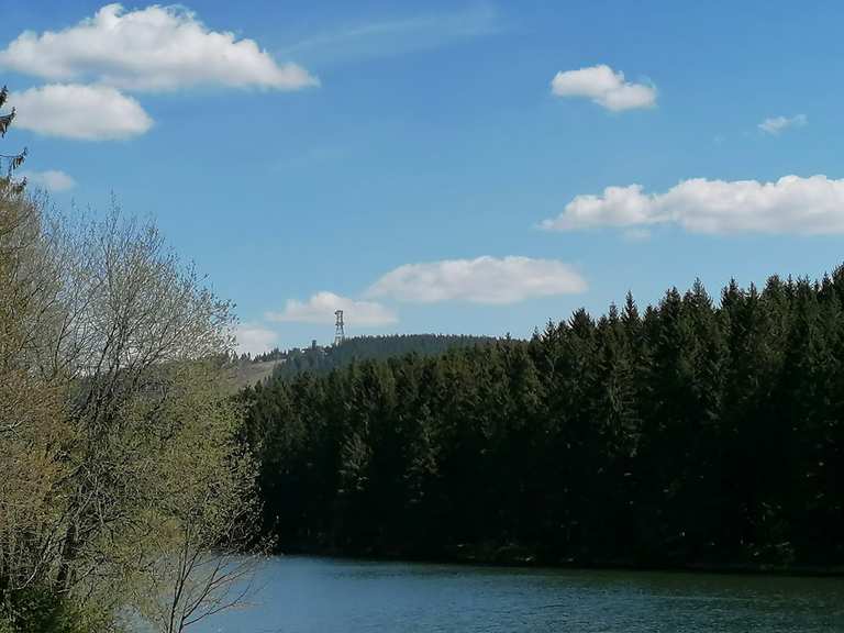 Kuttelbacher Teich Routes for Walking and Hiking Komoot