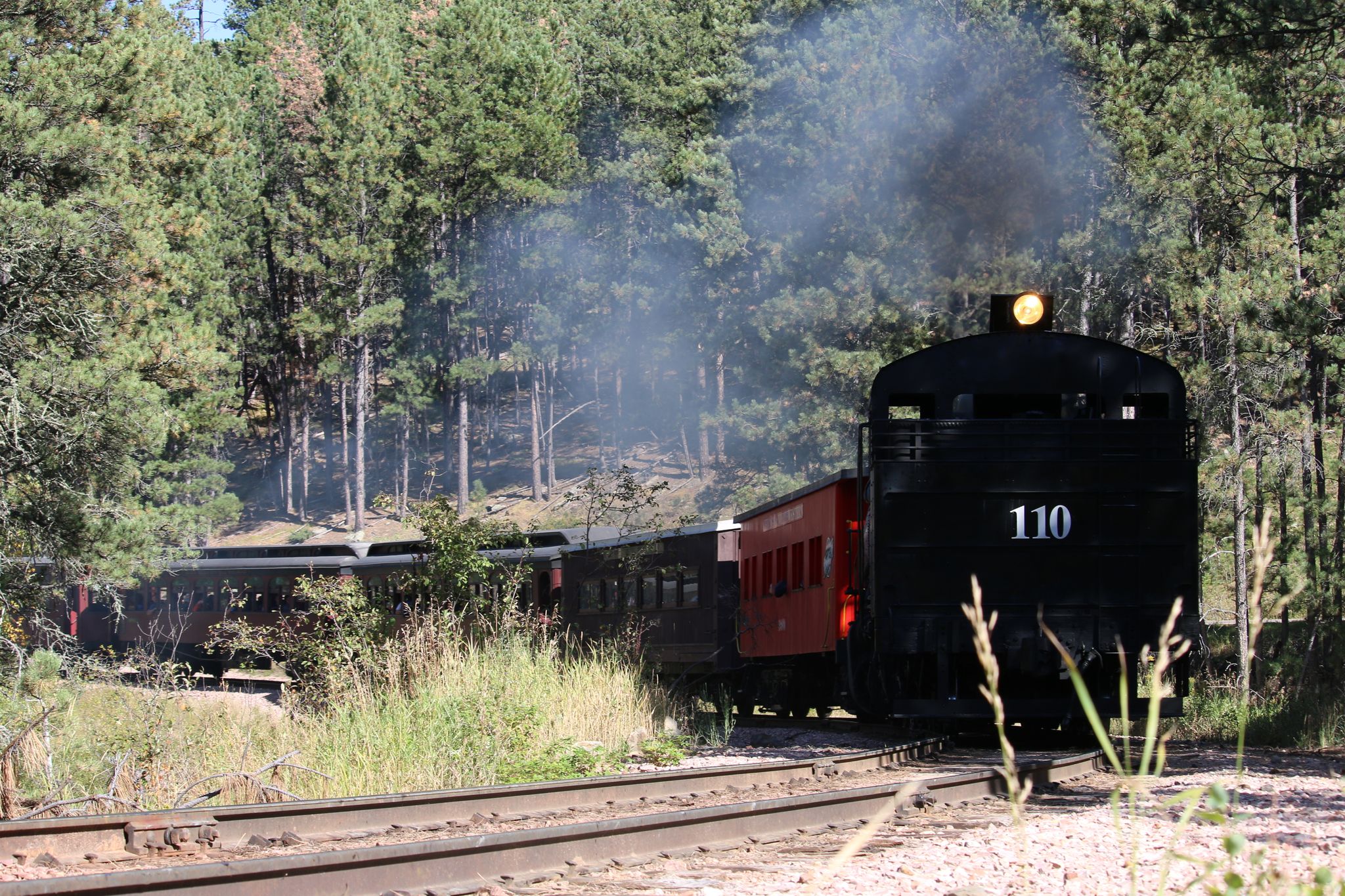 Black steam train with red cars moving through a sunny forest. - Centennial Trail and Horsethief Lake Loop