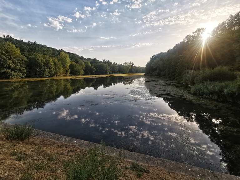 Étangs de la minière Étang de la Geneste Circuit à partir de Saint