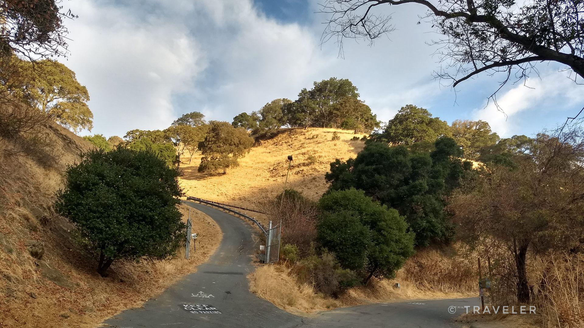 Paved road winding through dry hills with scattered trees under a cloudy sky.