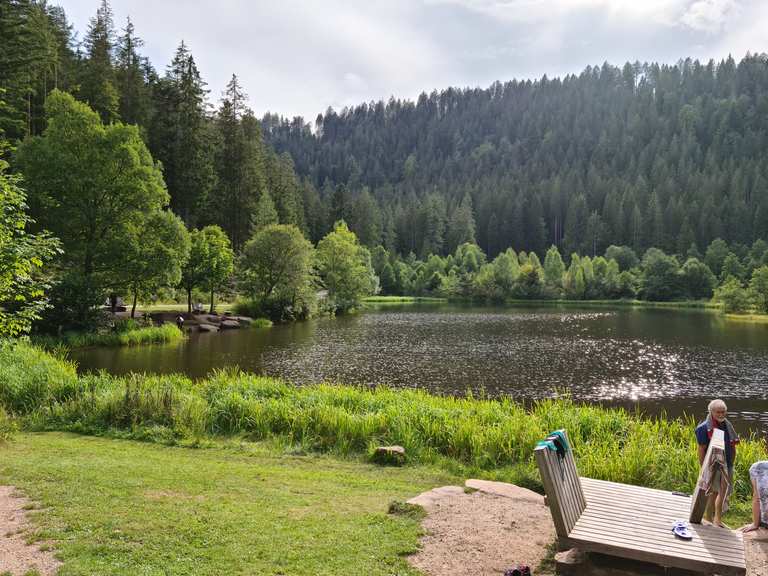 Sankenbachsee - Cycle Routes and Map | Komoot