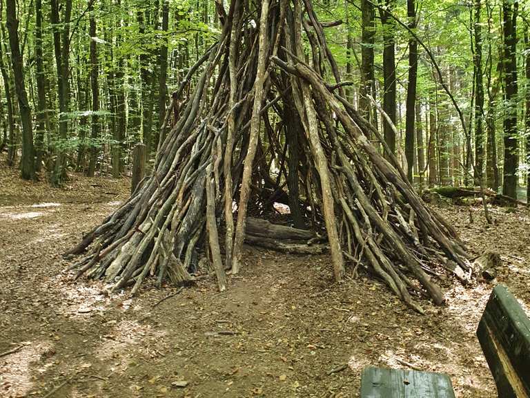 Tipi im Wald Routes for Walking and Hiking | Komoot