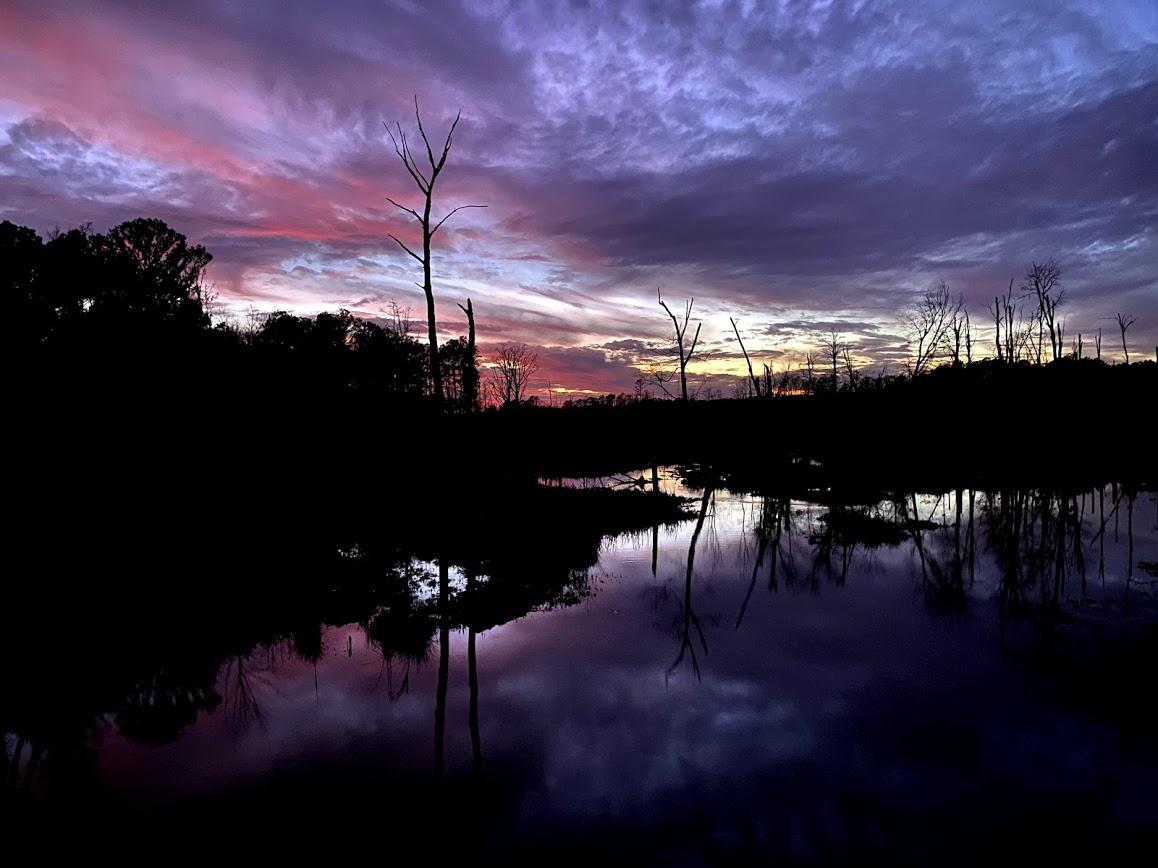 Dramatic sunset over a dark swamp with silhouetted trees and colorful sky reflections.