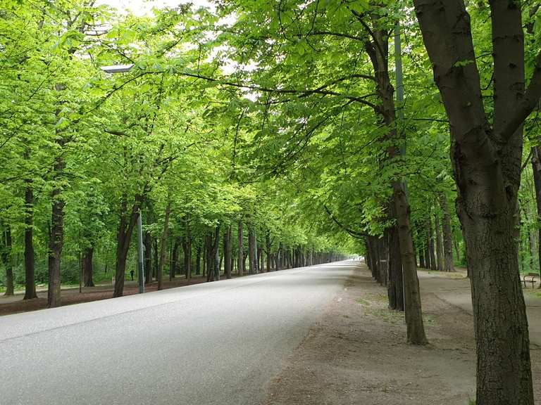 Prater Hauptallee Radtouren und Radwege komoot