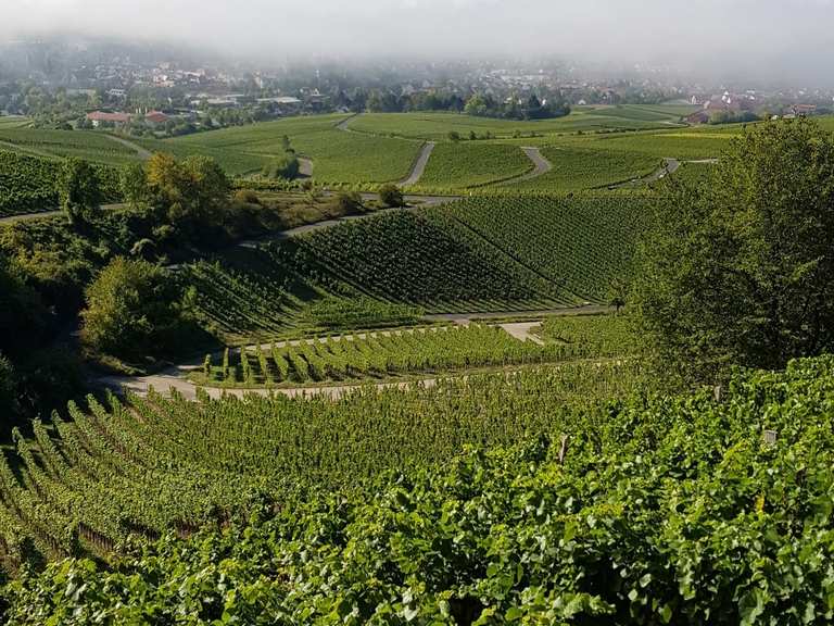 Geschichtsweinberg Iphofen Wandelroutes En Hikes Komoot