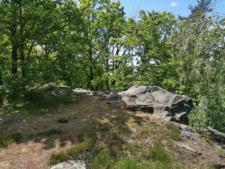 Hohe Dubrau Wanderungen und Rundwege komoot