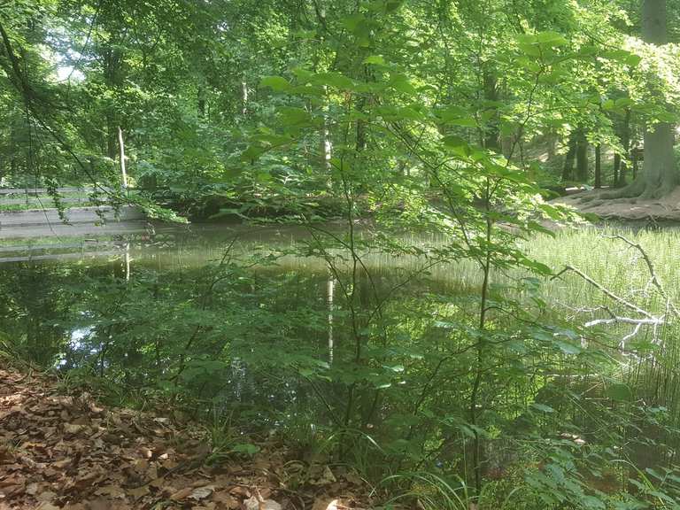 Blanke Teich Mountain Bike Trails & Tracks Komoot