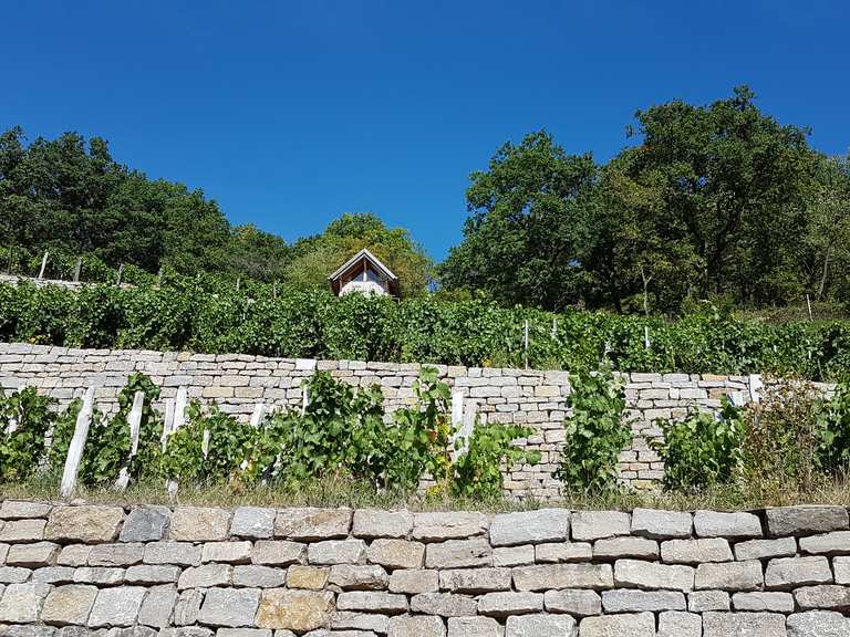 Geschichtsweinberg Iphofen Routes For Walking And Hiking Komoot