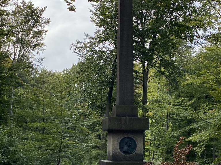 KönigAlbertDenkmal Wanderungen und Rundwege komoot