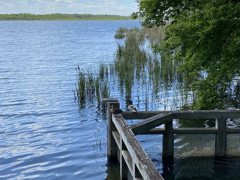 Rund um dem Großen Teich Wanderungen und Rundwege komoot