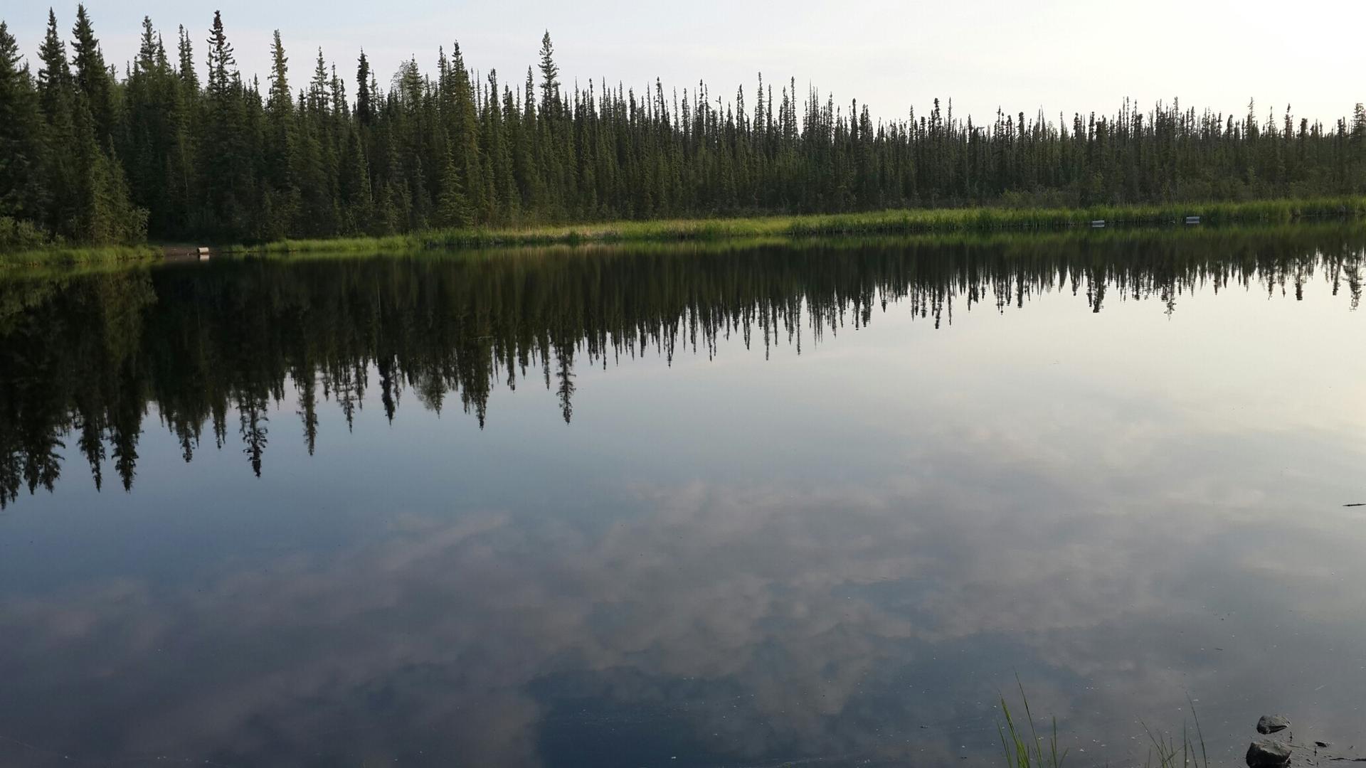 Calm lake reflecting a dense evergreen forest under soft natural light.
