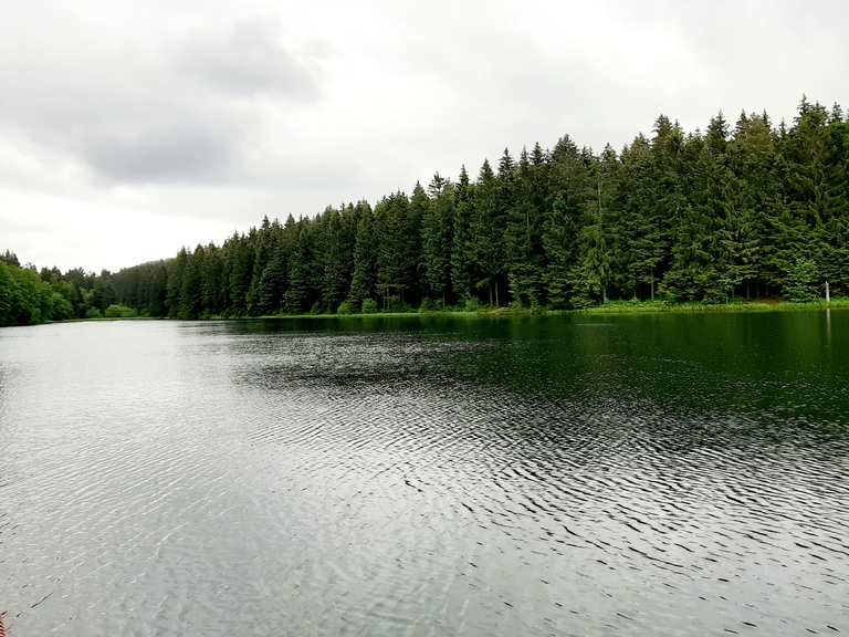 Kuttelbacher Teich Routes for Walking and Hiking Komoot