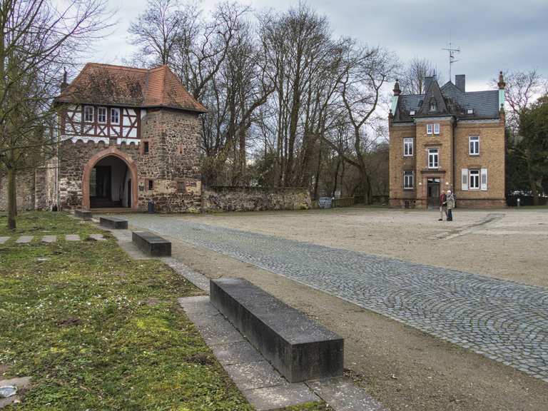 Schloss Dornberg : Radtouren und Radwege | komoot