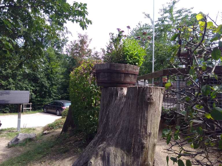 Wolfsgrube Wanderungen und Rundwege komoot