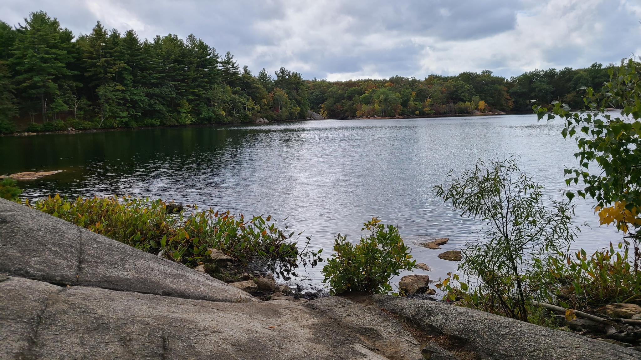 Wide lake with a rocky shore and dense green forest under a cloudy sky.