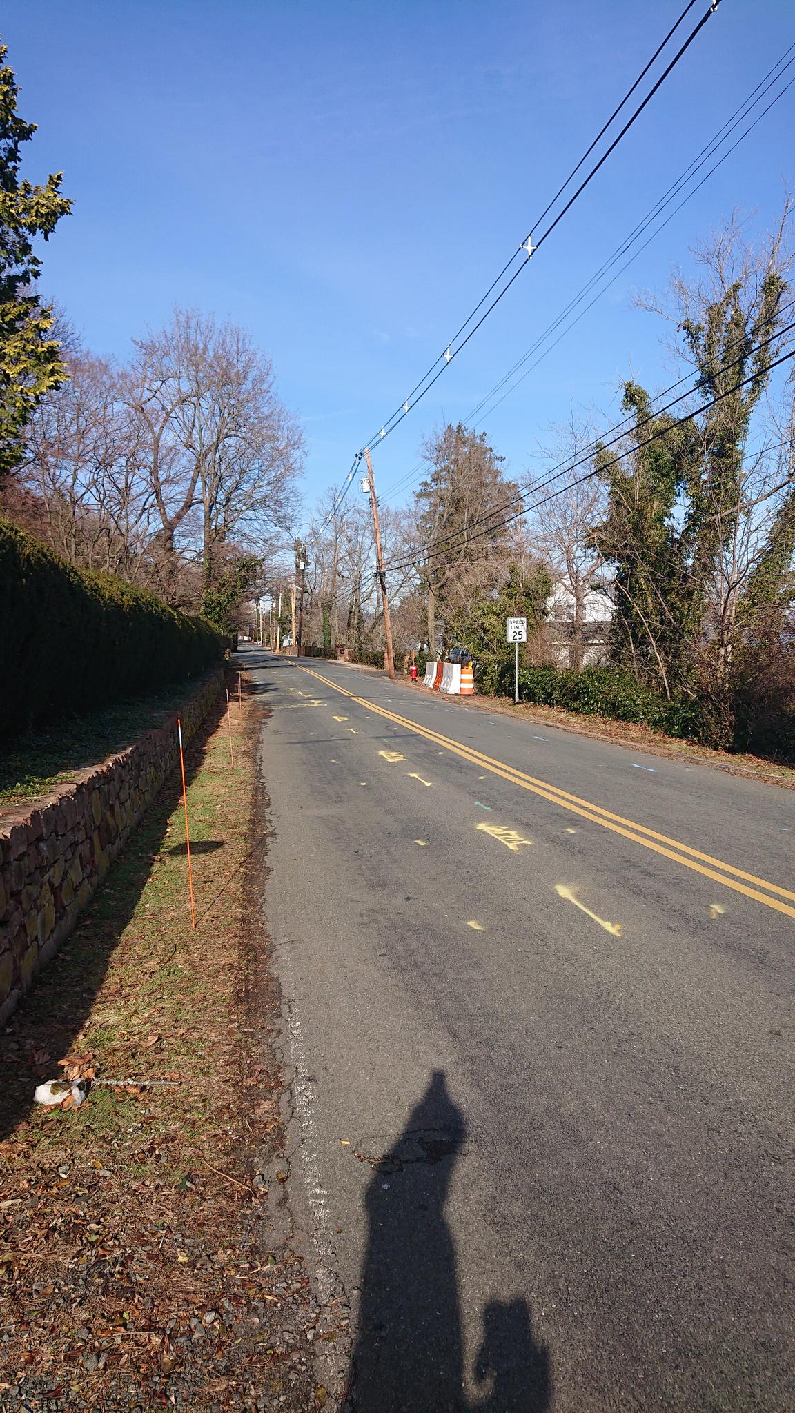 Sunny road with bare trees, power lines, and a person's shadow.