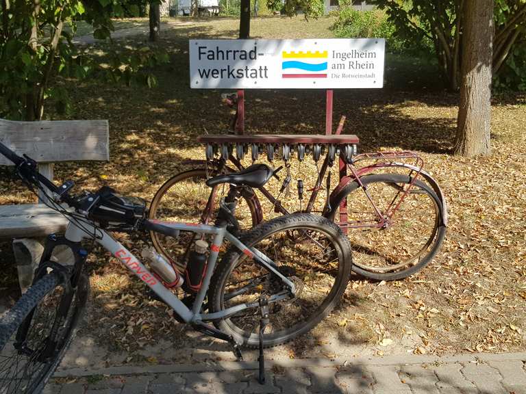 fahrrad ingelheim