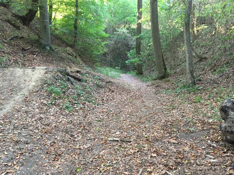 singles dingolfing-landau