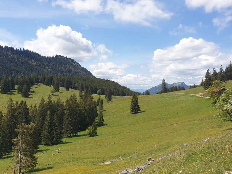 Bärenmoos-Alpe Routes for Walking and Hiking | Komoot