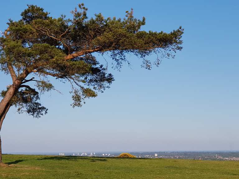Jubilee Plantation, Waseley Hills Country Park Routes for Walking and ...
