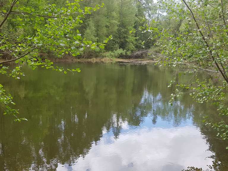 Schwarzer Teich Routes for Walking and Hiking Komoot