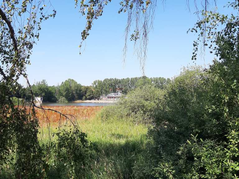 Großer Teich Wanderungen und Rundwege komoot