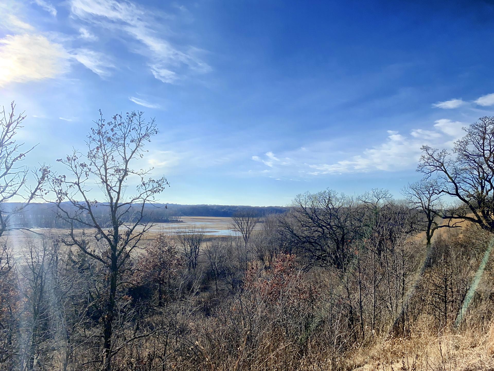 Sunny panoramic view of a valley with dry fields and bare trees.