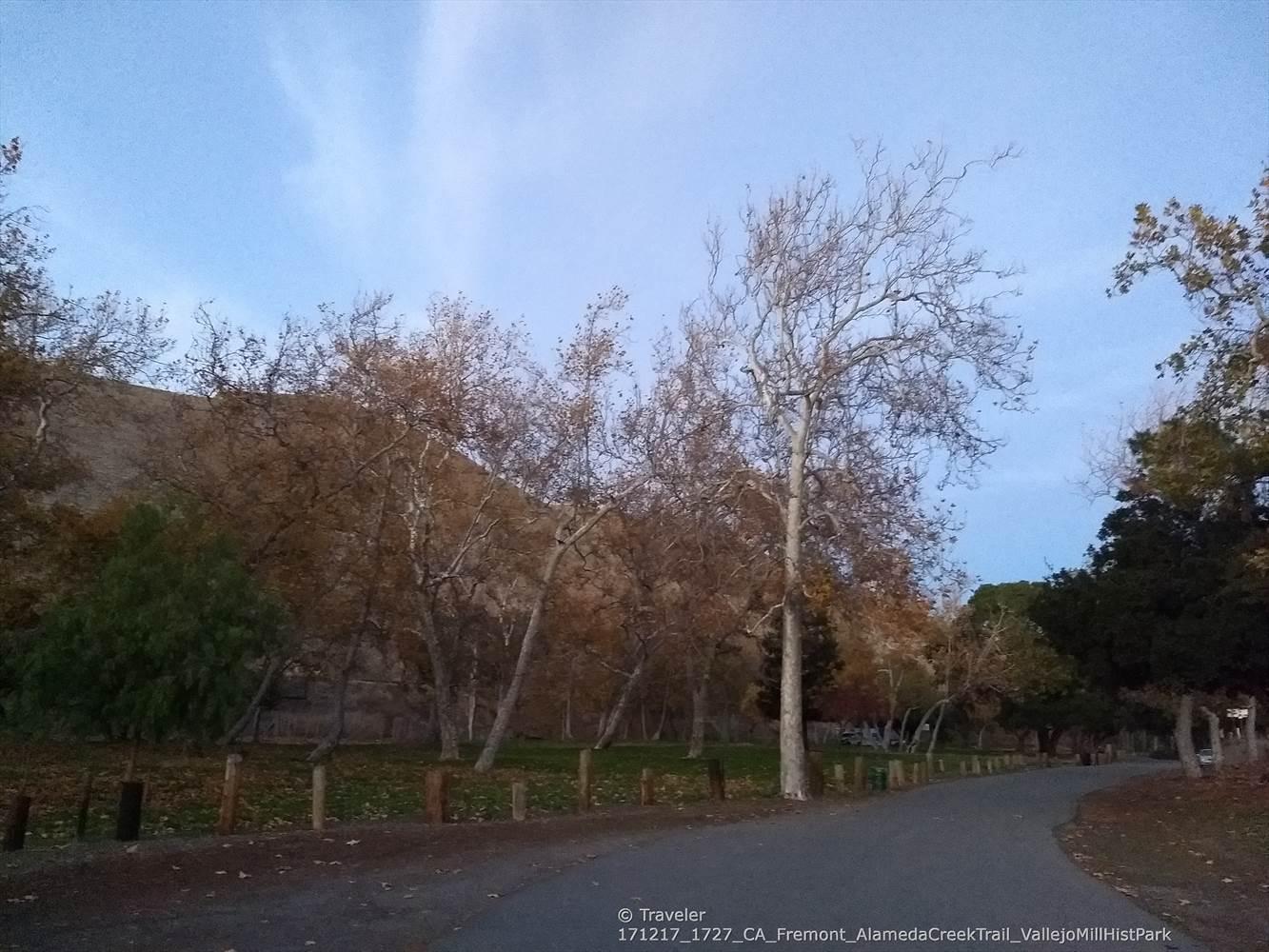 Paved path winding past bare trees and a hillside under a soft sky.