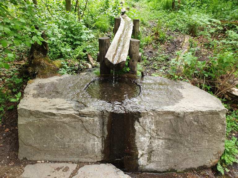 Siegquelle Wanderungen und Rundwege komoot