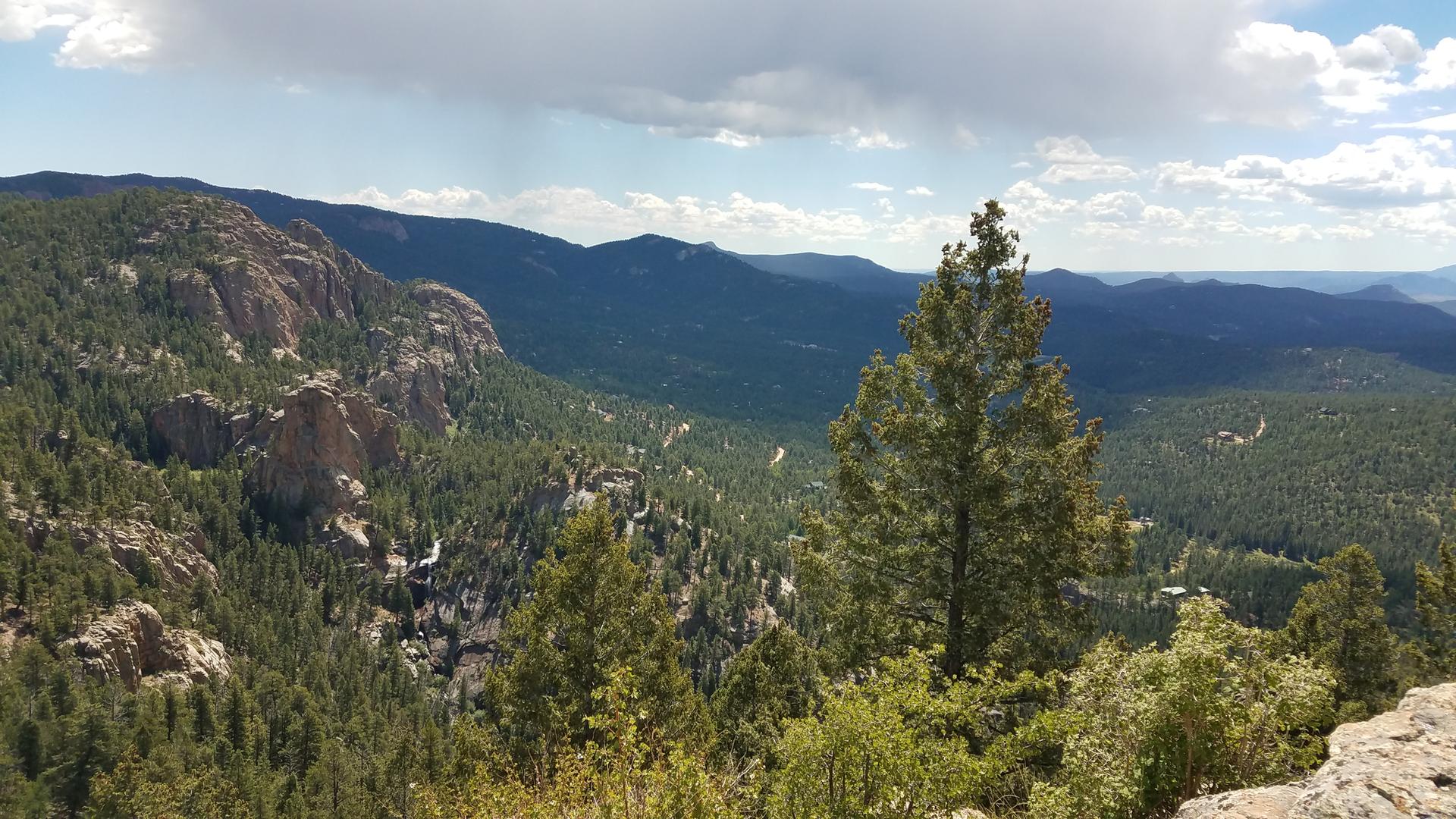 Expansive view of a green forested valley and distant mountains on a bright day.