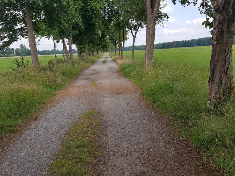 borken maria veen fahrrad schnellste strecke