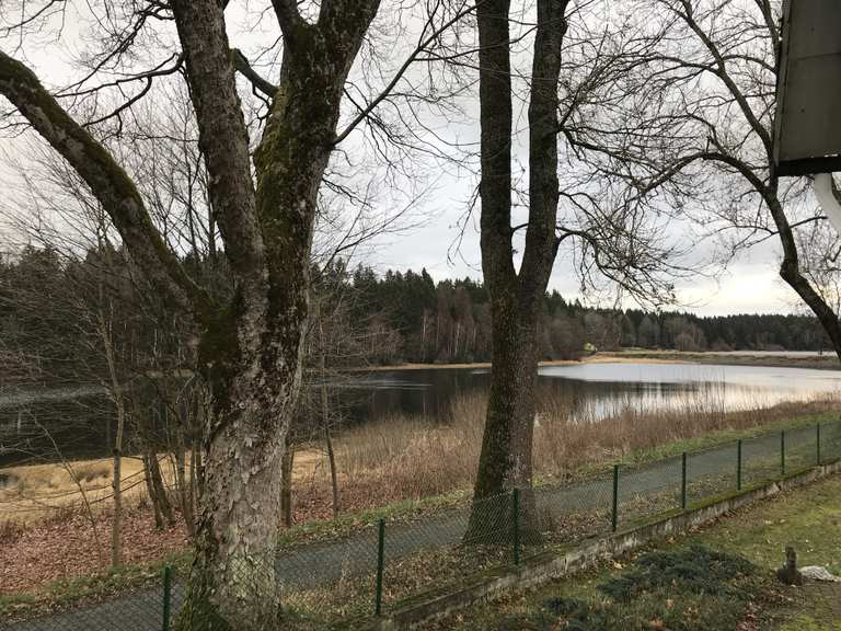 Haus Herzberger Teiche: Wanderungen und Rundwege  komoot