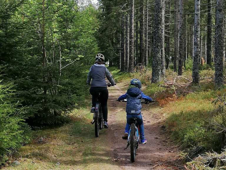 Wilhelmshöhe - Mountain Bike Trails & Tracks | Komoot