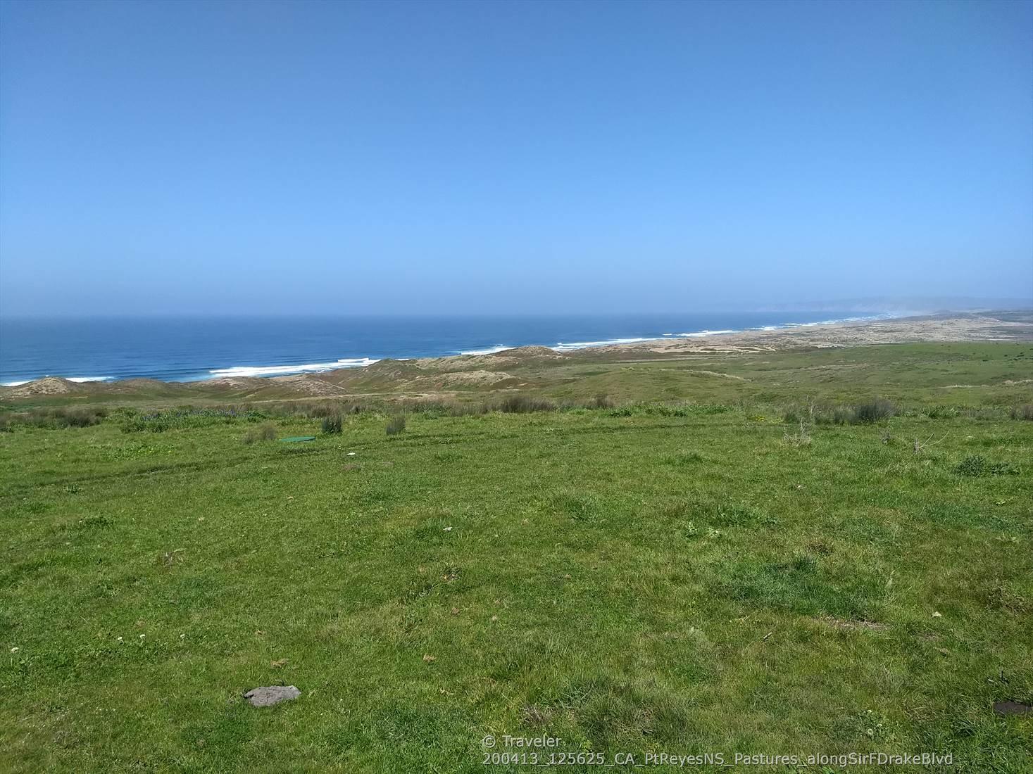 Expansive green field overlooking a sandy beach and blue ocean under clear sky.