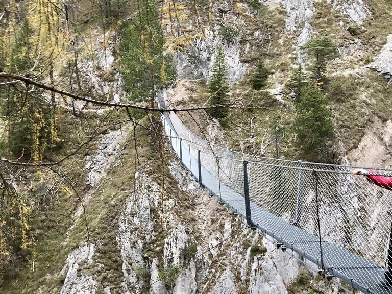 Hängebrücke Touren und Karten komoot